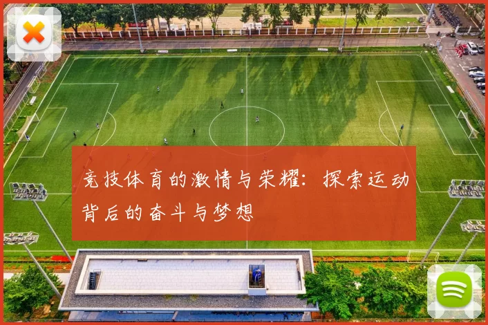 竞技体育的激情与荣耀：探索运动背后的奋斗与梦想