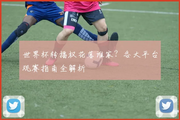 世界杯转播权花落谁家?各大平台观赛指南全解析