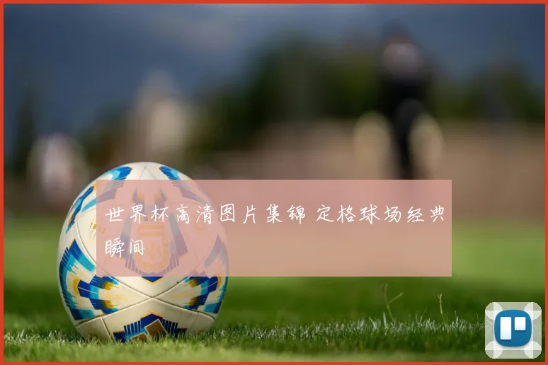 世界杯高清图片集锦 定格球场经典瞬间