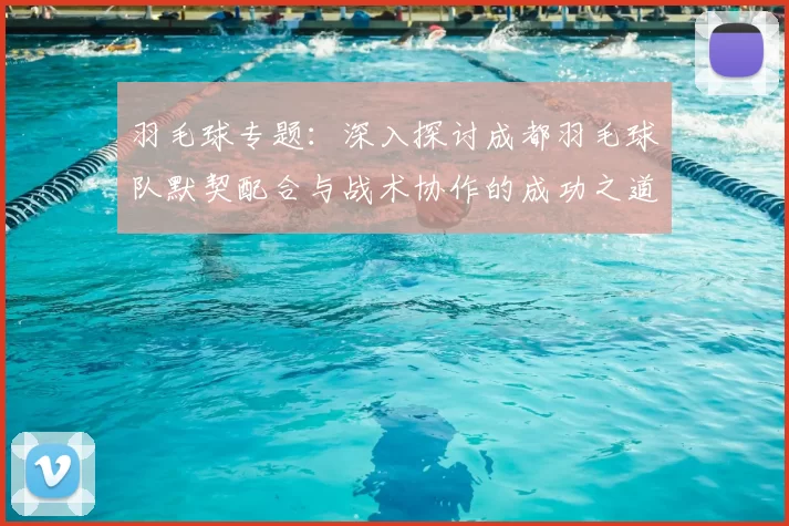 羽毛球专题：深入探讨成都羽毛球队默契配合与战术协作的成功之道