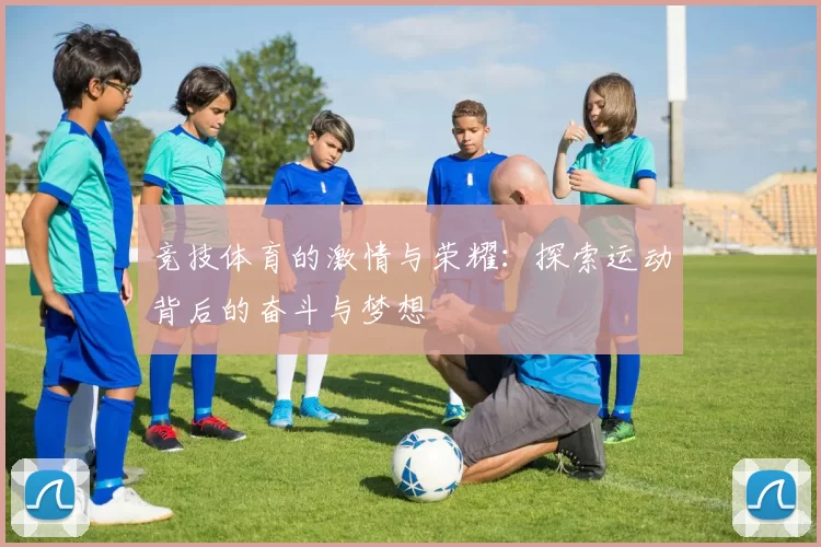 竞技体育的激情与荣耀：探索运动背后的奋斗与梦想