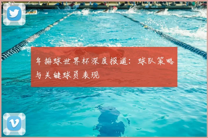 年排球世界杯深度报道：球队策略与关键球员表现