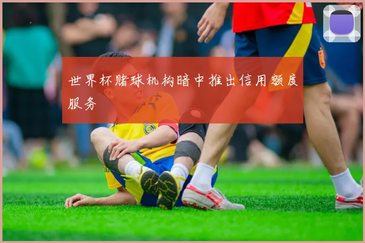 世界杯赌球机构暗中推出信用额度服务