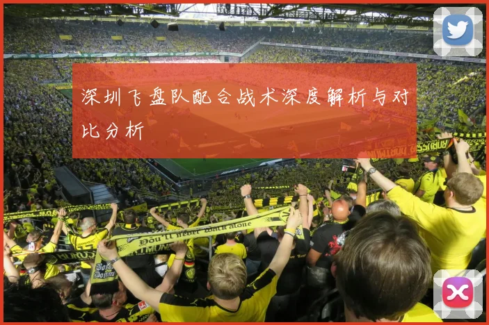 深圳飞盘队配合战术深度解析与对比分析