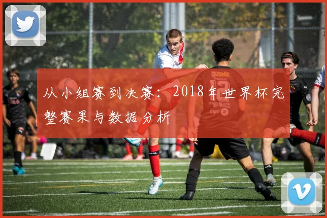 从小组赛到决赛：2018年世界杯完整赛果与数据分析