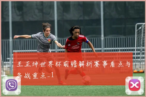 王正坤世界杯前瞻解析赛事看点与备战重点_1