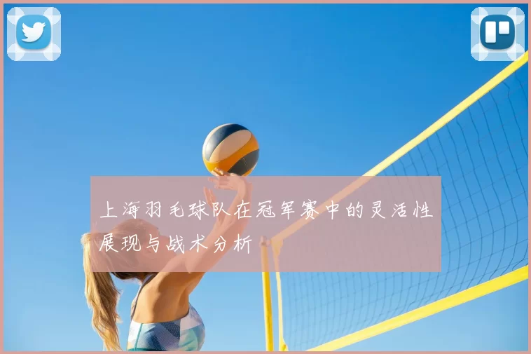 上海羽毛球队在冠军赛中的灵活性展现与战术分析