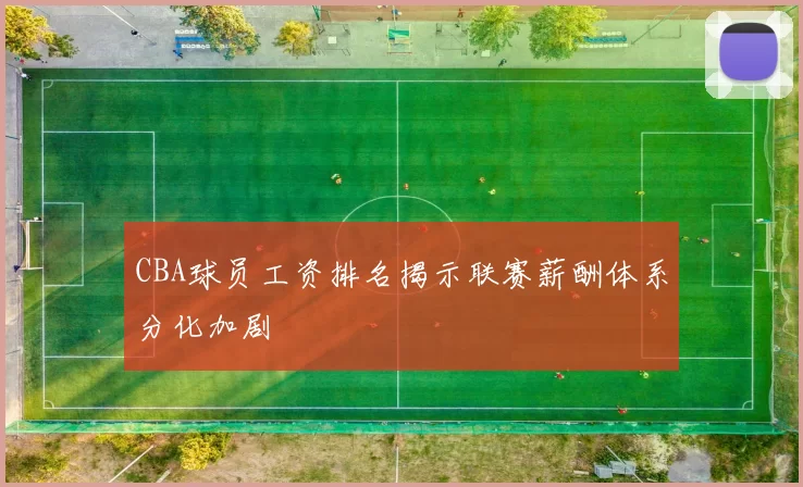 CBA球员工资排名揭示联赛薪酬体系分化加剧