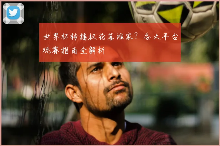世界杯转播权花落谁家?各大平台观赛指南全解析