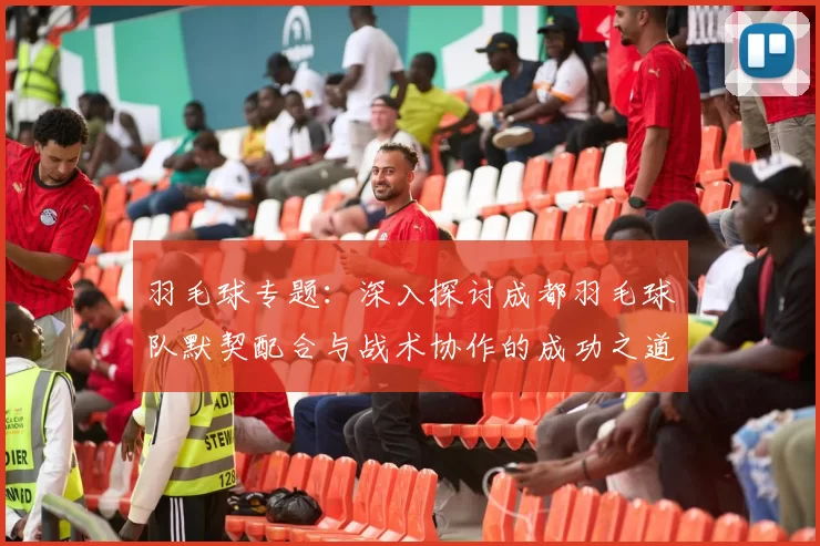 羽毛球专题：深入探讨成都羽毛球队默契配合与战术协作的成功之道