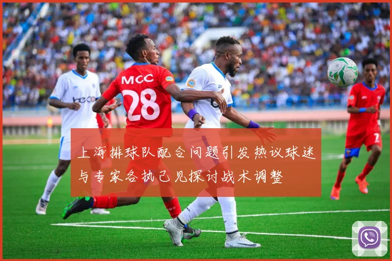 上海排球队配合问题引发热议球迷与专家各执己见探讨战术调整