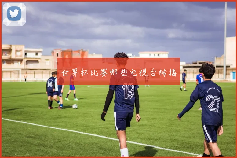 世界杯比赛哪些电视台转播