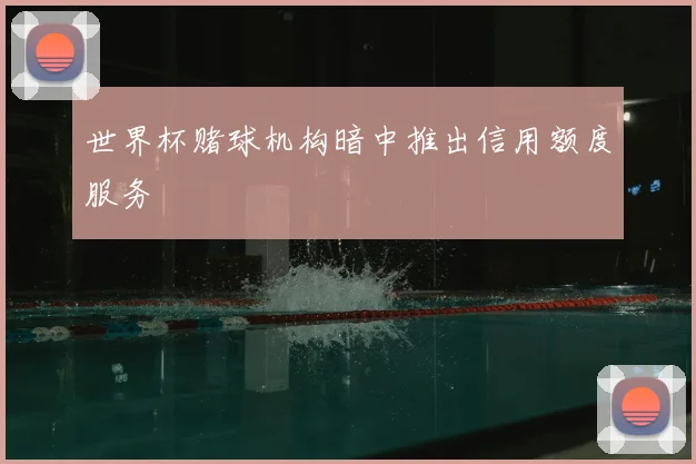 世界杯赌球机构暗中推出信用额度服务