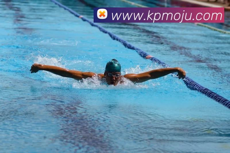 J9集团APP 封面图